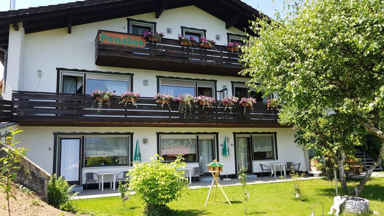 Pension Engelshutt Exteriér fotografie