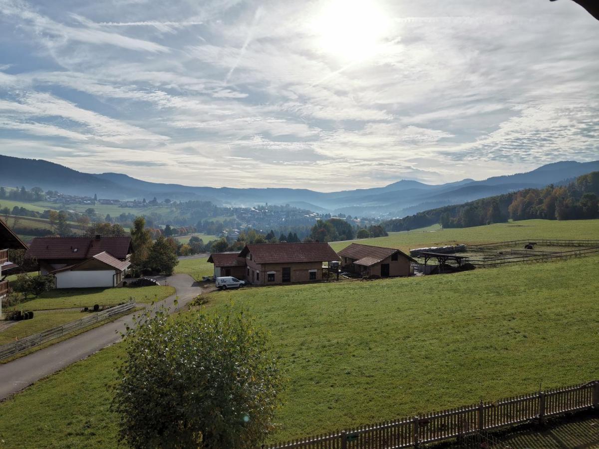 Pension Engelshutt Exteriér fotografie